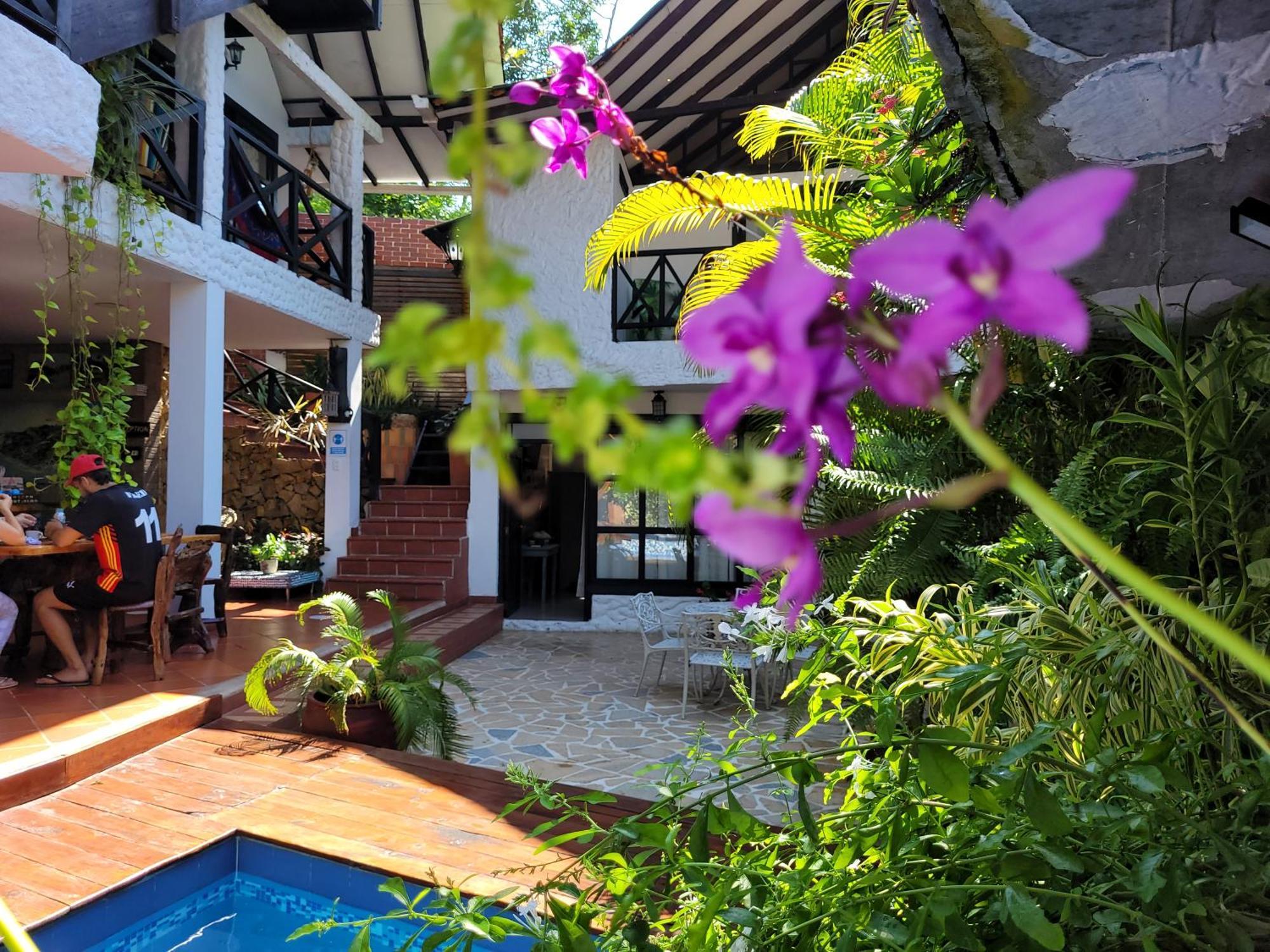 Hostal Antawara Tayrona الزينو المظهر الخارجي الصورة