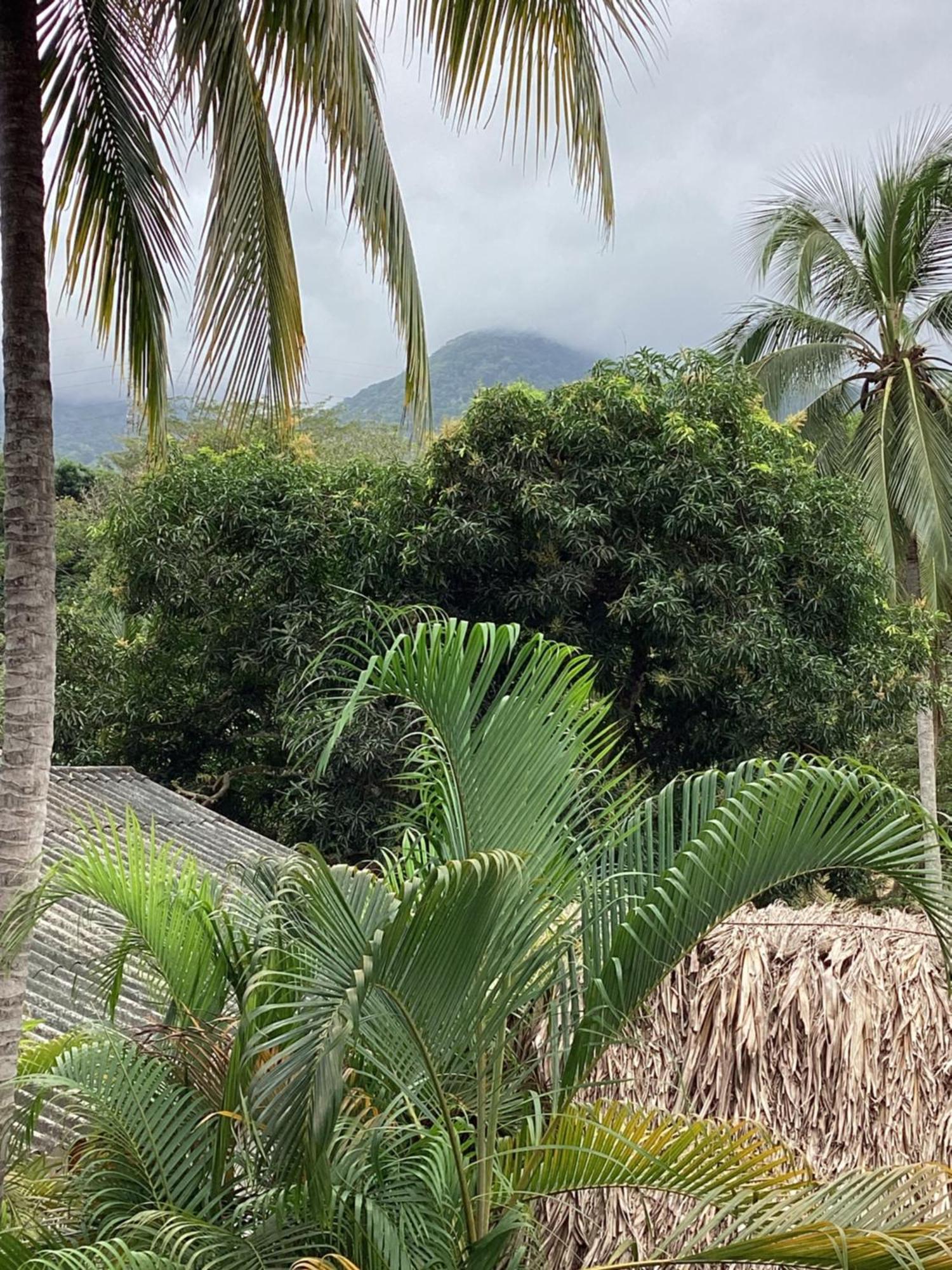 Hostal Antawara Tayrona الزينو المظهر الخارجي الصورة